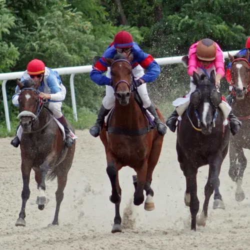 Horse racing Arab countries