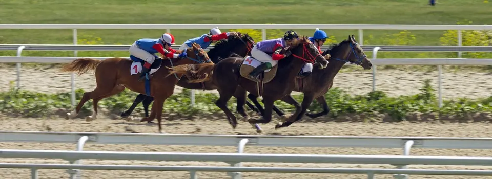 Horse racing cup UAE